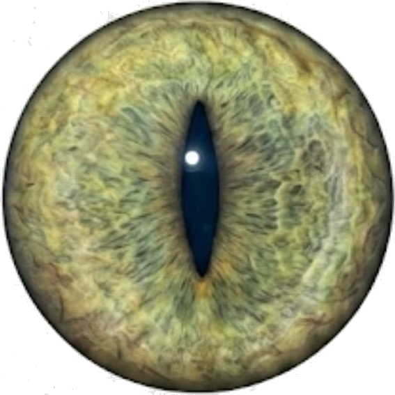 Ojo gatuno verde